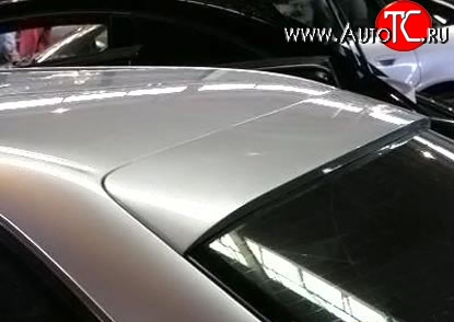 3 049 р. Козырёк AC Schnitzer на заднее лобовое стекло автомобиля BMW 5 серия E39 седан рестайлинг (2000-2003) (Неокрашенный)  с доставкой в г. Воронеж
