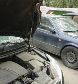 2 249 р. Упор капота Sport  Ford Focus  2 (2007-2011) седан рестайлинг, универсал рестайлинг, хэтчбэк 3 дв. рестайлинг, хэтчбэк 5 дв. рестайлинг (Без кронштейна)  с доставкой в г. Воронеж. Увеличить фотографию 2