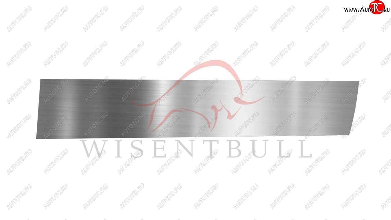 1 989 р. Ремкомплект правой двери Wisentbull BMW 5 серия E39 седан дорестайлинг (1995-2000)  с доставкой в г. Воронеж