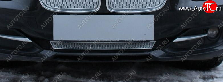 3 899 р. Защитная сетка радиатора в бампер Стрелка 11 Премиум (алюминий)  BMW 3 серия ( F30,  F31) (2012-2015) седан дорестайлинг, универсал дорестайлинг (Цвет: хром)  с доставкой в г. Воронеж