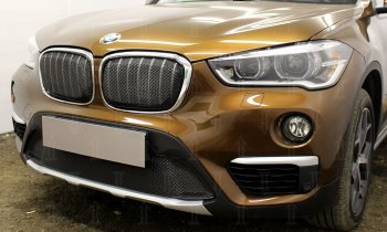 5 399 р. Защитная сетка радиатора в бампер Стрелка 11 Премиум (алюминий)  BMW X1  F48 (2015-2019) дорестайлинг (Цвет: черный)  с доставкой в г. Воронеж. Увеличить фотографию 1