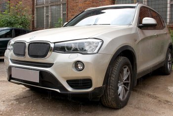 6 749 р. Защитная сетка решетки радиатора Стрелка 11 Премиум (алюминий)  BMW X3  F25 (2014-2017) рестайлинг (Цвет: черный)  с доставкой в г. Воронеж. Увеличить фотографию 2