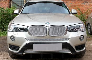 6 849 р. Защитная сетка решетки радиатора Стрелка 11 Премиум (алюминий)  BMW X3  F25 (2014-2017) рестайлинг (Цвет: хром)  с доставкой в г. Воронеж. Увеличить фотографию 2