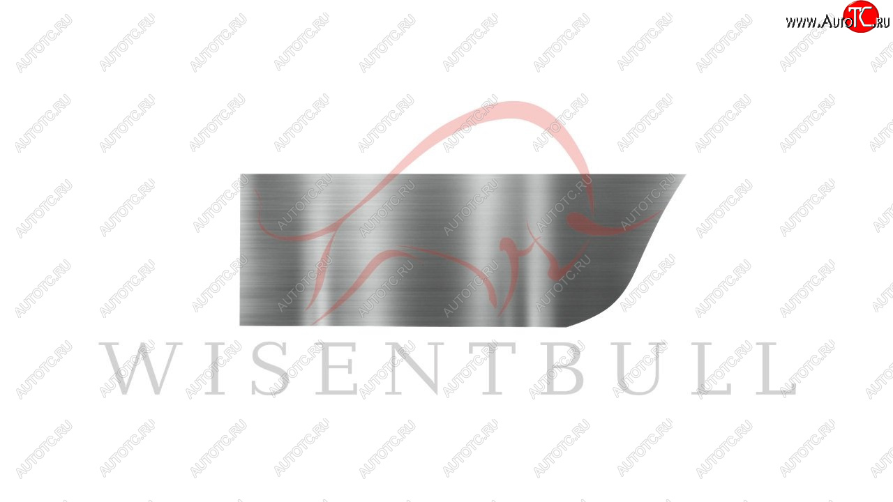 1 989 р. Ремкомплект правой двери Wisentbull Chevrolet Aveo T200 седан (2003-2008)  с доставкой в г. Воронеж