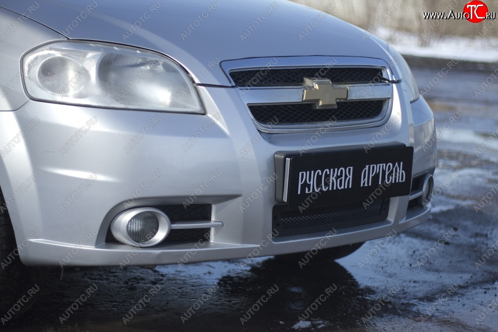 1 099 р. Защитная сетка решетки переднего бампера RA  Chevrolet Aveo  T250 (2006-2011) седан рестайлинг  с доставкой в г. Воронеж