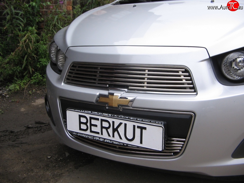 4 399 р. Декоративная вставка решетки радиатора Berkut Chevrolet Aveo T300 седан (2011-2015)  с доставкой в г. Воронеж