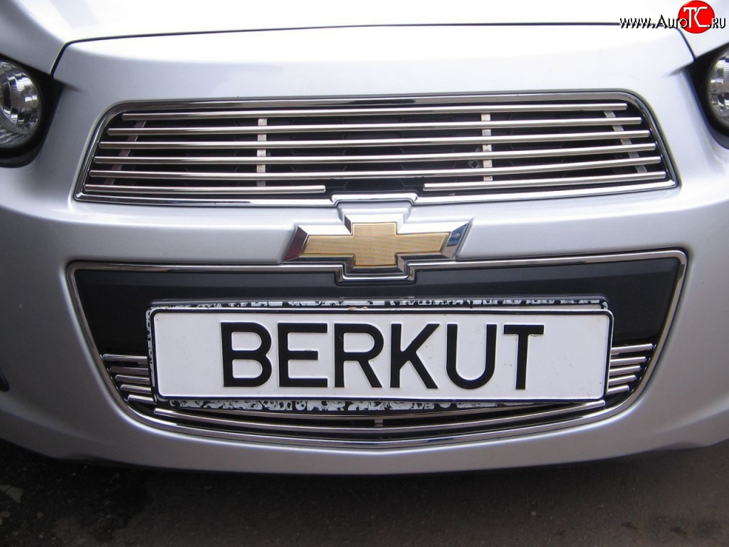 3 999 р. Декоративная вставка воздухозаборника Berkut Chevrolet Aveo T300 седан (2011-2015)  с доставкой в г. Воронеж