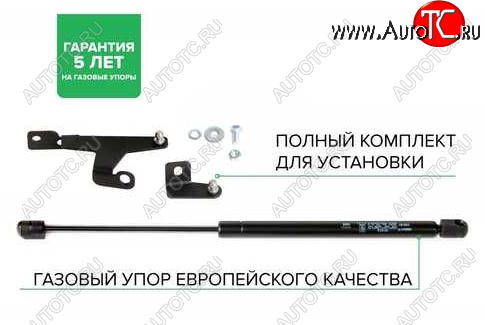 4 069 р. Упор капота PNEUMATIC Chevrolet Lacetti хэтчбек (2002-2013)  с доставкой в г. Воронеж