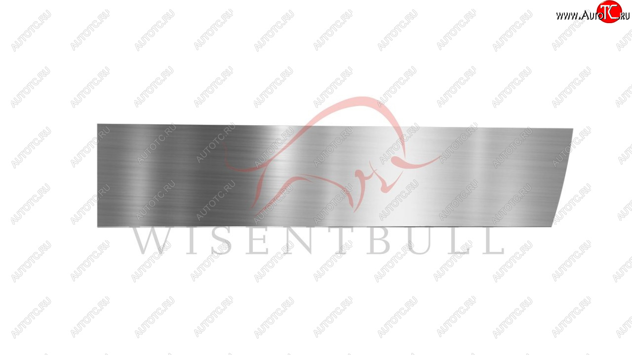 1 989 р. Ремкомплект правой двери Wisentbull Chevrolet Viva (2005-2008)  с доставкой в г. Воронеж