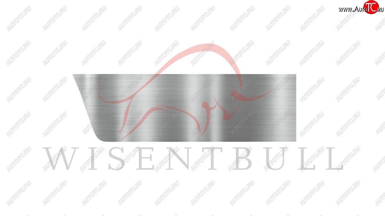 1 989 р. Ремкомплект правой двери Wisentbull  Chevrolet Viva (2005-2008), Opel Astra  G (1998-2005)  с доставкой в г. Воронеж