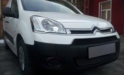 2 759 р. Сетка на бампер (рестайлинг) Russtal (черная) CITROEN Berlingo B9 дорестайлинг (2008-2016)  с доставкой в г. Воронеж. Увеличить фотографию 4