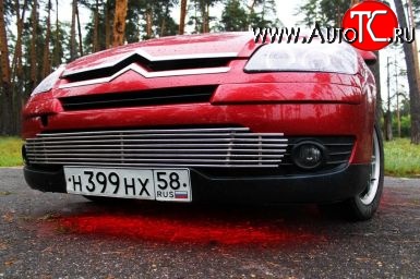 7 199 р. Декоративная вставка воздухозаборника Berkut CITROEN C4  дорестайлинг, хэтчбэк 5 дв. (2004-2008)  с доставкой в г. Воронеж
