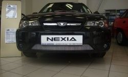 1 389 р. Сетка на бампер Russtal (хром) Daewoo Nexia рестайлинг (2008-2015)  с доставкой в г. Воронеж. Увеличить фотографию 8