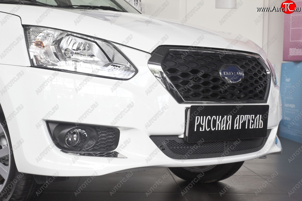 1 799 р. Защитная сетка решетки переднего бампера РА  Datsun on-DO (2014-2019) седан дорестайлинг  с доставкой в г. Воронеж