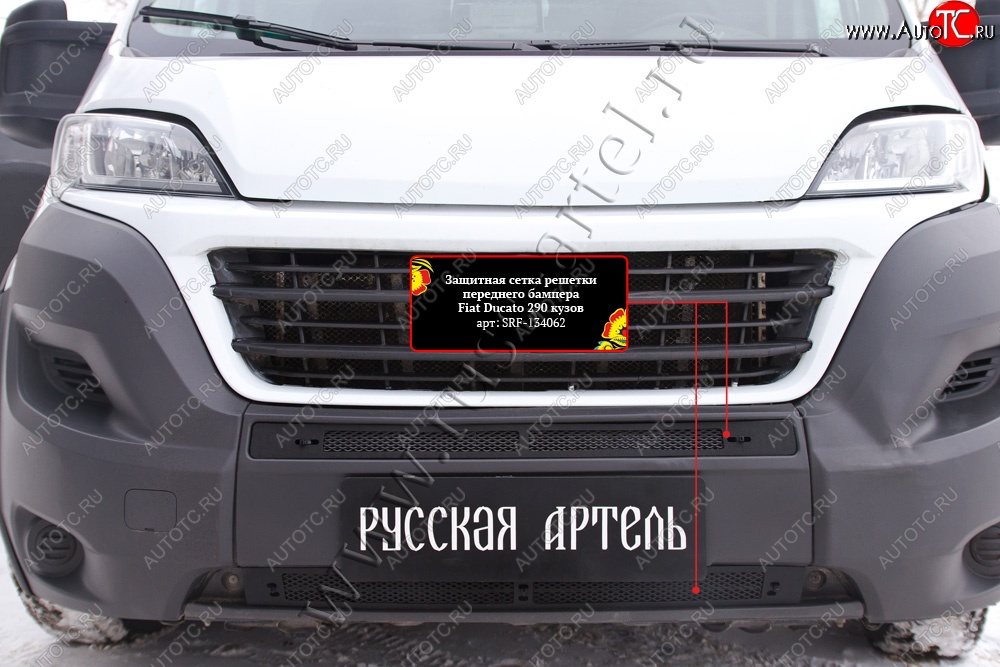 2 729 р. Защитная сетка решетки переднего бампера RA Fiat Ducato 290 (2014-2025)  с доставкой в г. Воронеж