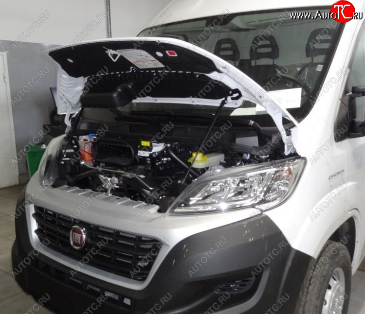 3 999 р. Амортизаторы капота Autofamily Fiat Ducato 290 (2014-2025)  с доставкой в г. Воронеж