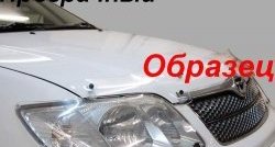1 999 р. Защита фар CA-Plastik Fiat Ducato 230 (1994-2002) (Цвет: прозрачный)  с доставкой в г. Воронеж. Увеличить фотографию 2