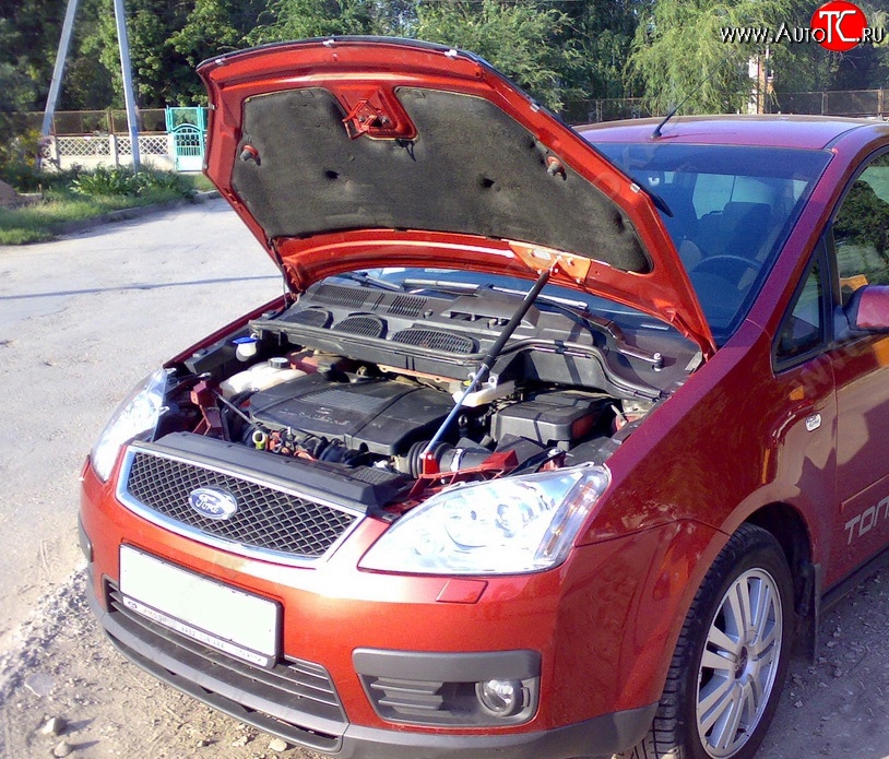 2 969 р. Упор капота Sport Ford C-max Mk1 рестайлинг (2007-2010)  с доставкой в г. Воронеж