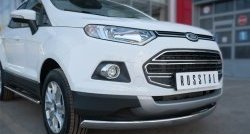 13 749 р. Защита переднего бампера (Ø75х42 мм, нержавейка) Russtal Ford EcoSport дорестайлинг (2013-2019)  с доставкой в г. Воронеж. Увеличить фотографию 2