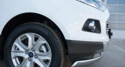 13 749 р. Защита переднего бампера (Ø75х42 мм, нержавейка) Russtal Ford EcoSport дорестайлинг (2013-2019)  с доставкой в г. Воронеж. Увеличить фотографию 3