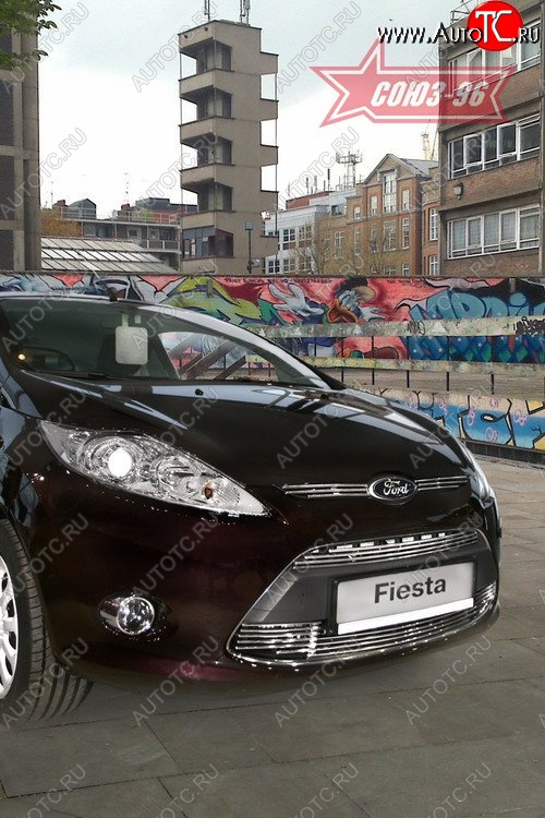 5 399 р. Декоративные элементы воздухозаборников Souz-96 (d8) Ford Fiesta 6 хэтчбэк 3 дв. дорестайлинг (2008-2013)  с доставкой в г. Воронеж