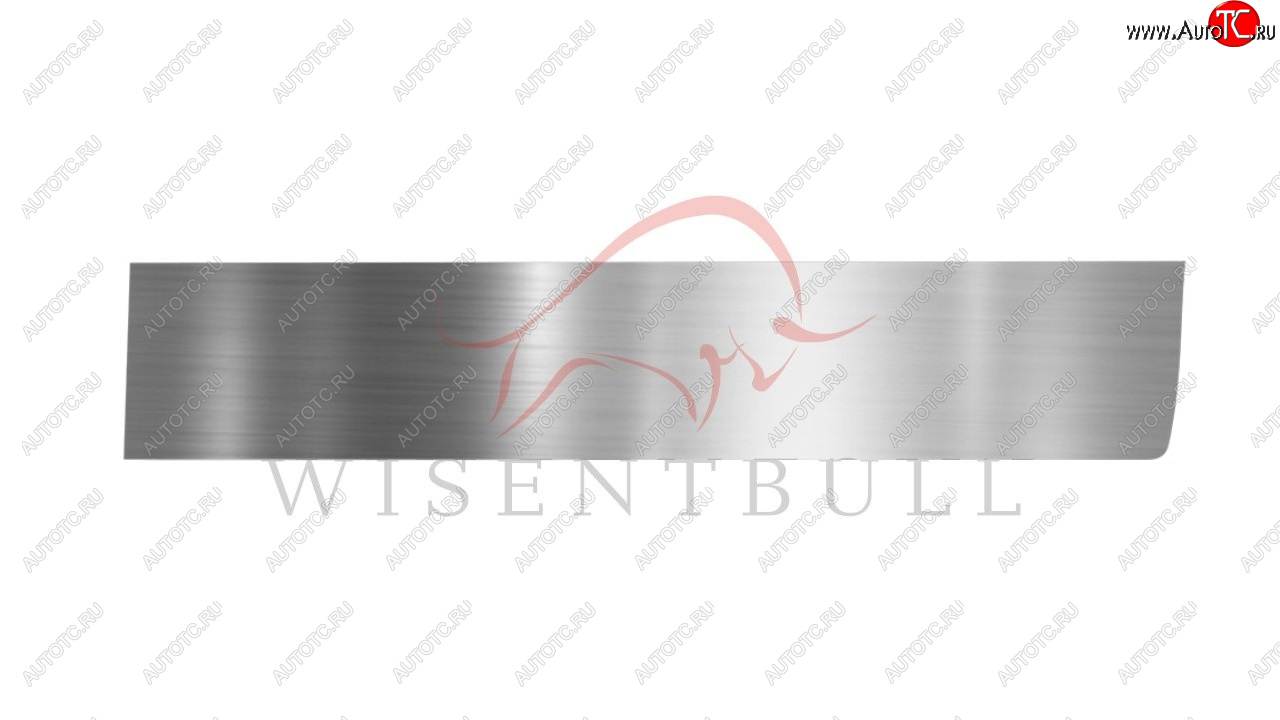 1 989 р. Ремкомплект правой двери Wisentbull Ford Focus 1 хэтчбэк 5 дв. дорестайлинг (1998-2002)  с доставкой в г. Воронеж