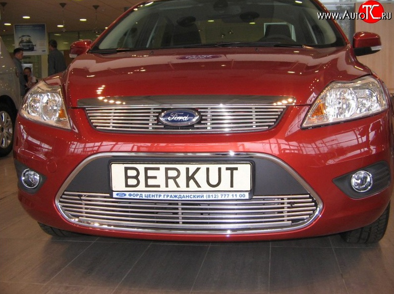 4 999 р. Декоративная вставка решетки радиатора Berkut Ford Focus 2 хэтчбэк 3 дв. рестайлинг (2007-2011)  с доставкой в г. Воронеж