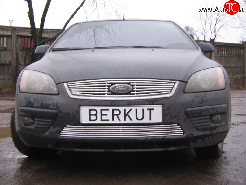 4 999 р. Декоративная вставка решетки радиатора Berkut Ford Focus 2 универсал дорестайлинг (2004-2008)  с доставкой в г. Воронеж