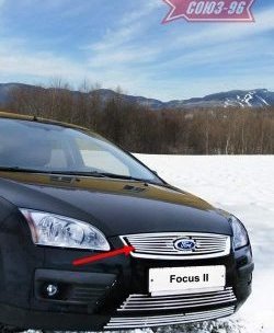 3 824 р. Декоративный элемент решетки радиатора Souz-96 (d10) Ford Focus 2 хэтчбэк 5 дв. дорестайлинг (2004-2008)  с доставкой в г. Воронеж. Увеличить фотографию 1