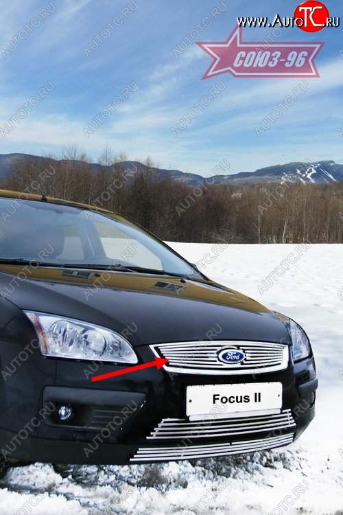 3 824 р. Декоративный элемент решетки радиатора Souz-96 (d10) Ford Focus 2 хэтчбэк 5 дв. дорестайлинг (2004-2008)  с доставкой в г. Воронеж