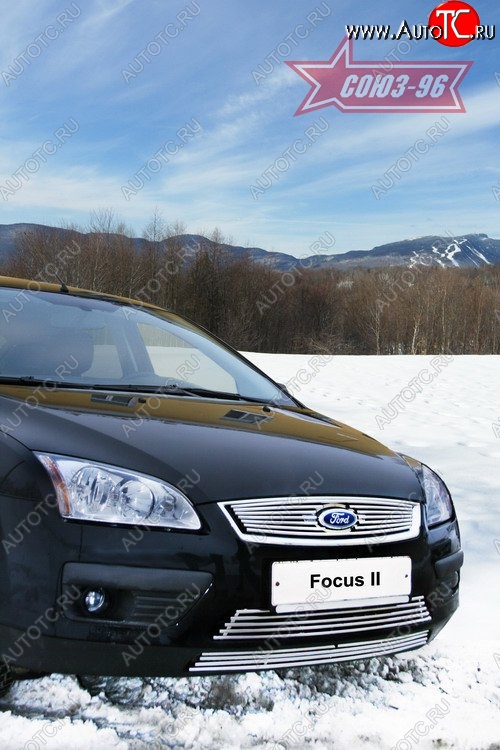 3 959 р. Декоративные вставки воздухозаборника в бампер Souz-96 Ford Focus 2 хэтчбэк 5 дв. дорестайлинг (2004-2008)  с доставкой в г. Воронеж