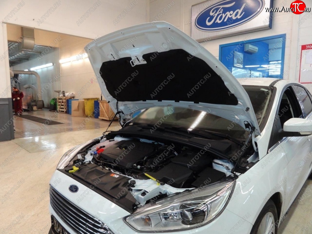 2 199 р. Газовые упоры капота Berkut Ford Focus 3 универсал дорестайлинг (2010-2015)  с доставкой в г. Воронеж