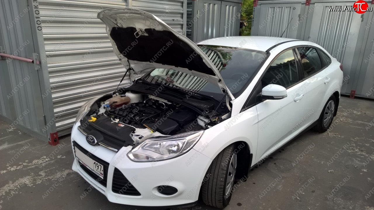 2 049 р. Упоры капота Russtal Ford Focus 3 универсал дорестайлинг (2010-2015)  с доставкой в г. Воронеж