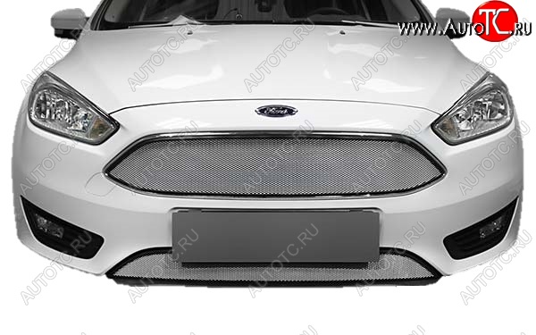 1 479 р. Защитная сетка радиатора Russtal Ford Focus 3 хэтчбэк рестайлинг (2014-2019) (Верхняя чёрная)  с доставкой в г. Воронеж