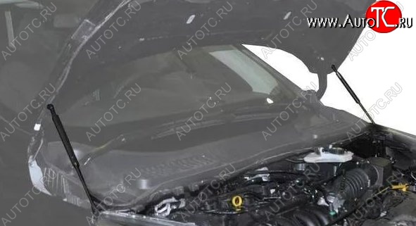 2 199 р. Газовые упоры капота Berkut Ford Kuga 2 рестайлинг (2016-2019)  с доставкой в г. Воронеж