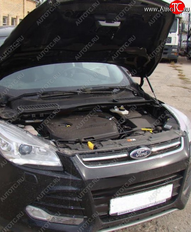 2 199 р. Газовые упоры капота Berkut Ford Kuga 2 дорестайлинг (2013-2016)  с доставкой в г. Воронеж