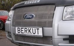 Декоративная вставка решетки радиатора Berkut Ford Ranger дорестайлинг (2006-2009)