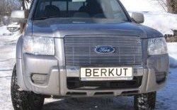 Декоративная вставка решетки радиатора (рестайлинг) Berkut Ford Ranger дорестайлинг (2006-2009)