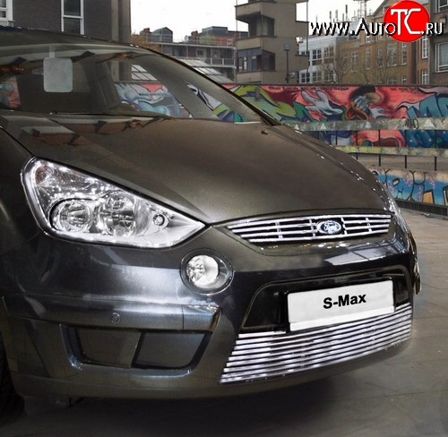 3 689 р. Декоративная вставка решетки радиатора Novline  Ford S-Max  1 (2006-2010) дорестайлинг  с доставкой в г. Воронеж
