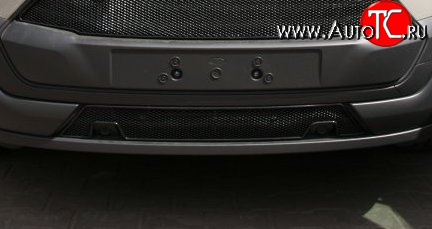 4 229 р. Сетка на бампер Novline  Ford Tourneo Custom (2012-2018) дорестайлинг  с доставкой в г. Воронеж