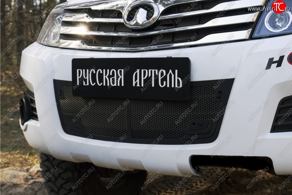 2 349 р. Защитная сетка решетки переднего бампера РА Great Wall Hover H3  дорестайлинг (2010-2014)  с доставкой в г. Воронеж