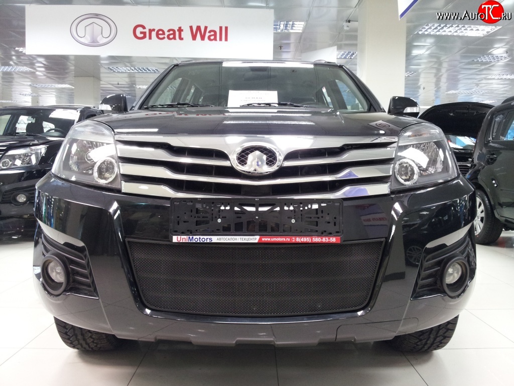 1 469 р. Сетка на бампер Russtal (черная) Great Wall Hover H3  дорестайлинг (2010-2014)  с доставкой в г. Воронеж