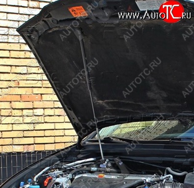2 969 р. Газовый упор капота Tuning-Sport  Honda Accord  7 CL (2002-2005) седан дорестайлинг  с доставкой в г. Воронеж