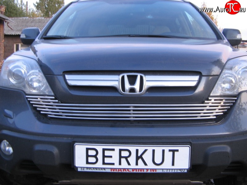 5 999 р. Декоративная вставка решетки радиатора Berkut Honda CR-V RE1,RE2,RE3,RE4,RE5,RE7 рестайлинг (2009-2012)  с доставкой в г. Воронеж