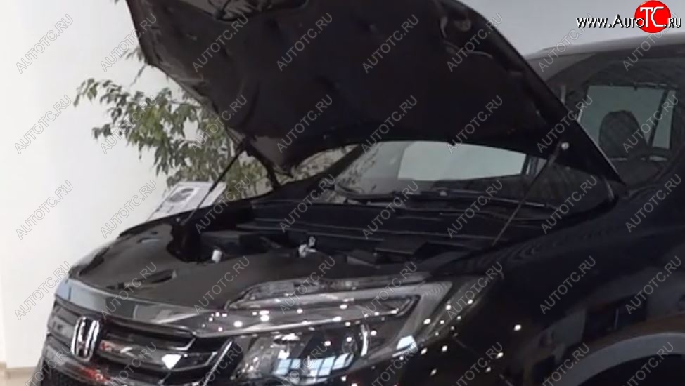 2 299 р. Упоры капота Russtal Honda Pilot YF6 дорестайлинг (2016-2019)  с доставкой в г. Воронеж
