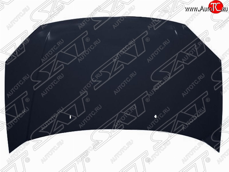 15 899 р. Капот SAT (пр-во Тайвань)  Hyundai Getz  TB (2002-2005) хэтчбэк 5 дв. дорестайлинг (Неокрашенный)  с доставкой в г. Воронеж