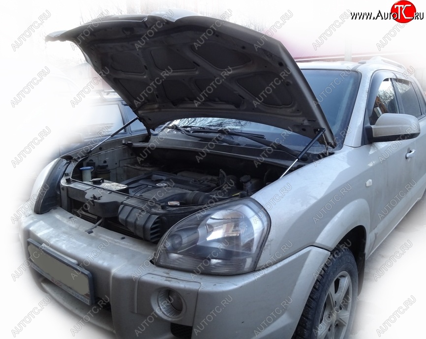 2 049 р. Упоры капота Russtal Hyundai Tucson JM (2004-2010)  с доставкой в г. Воронеж