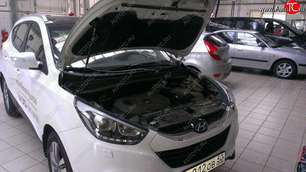 2 199 р. Газовые упоры капота Berkut Hyundai IX35 LM дорестайлинг (2009-2013)  с доставкой в г. Воронеж