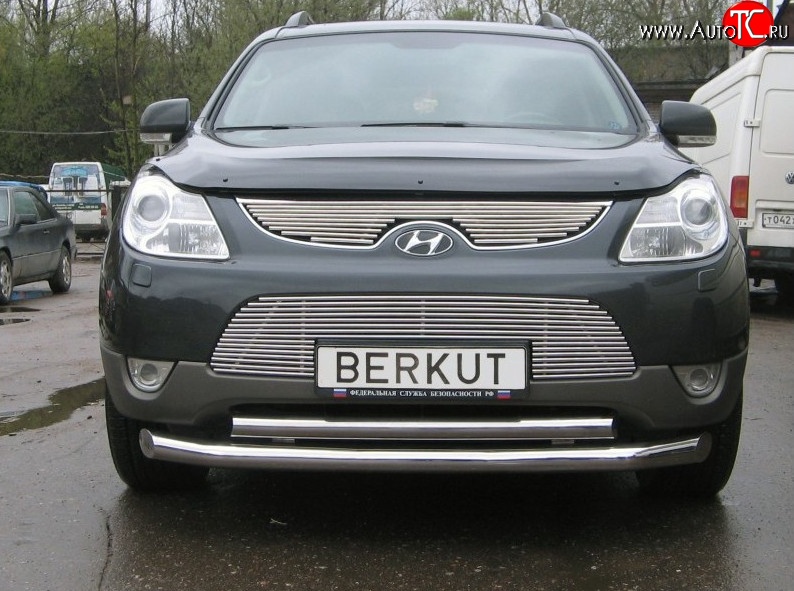 4 799 р. Декоративная вставка решетки радиатора Berkut Hyundai IX55 EN (2006-2013)  с доставкой в г. Воронеж