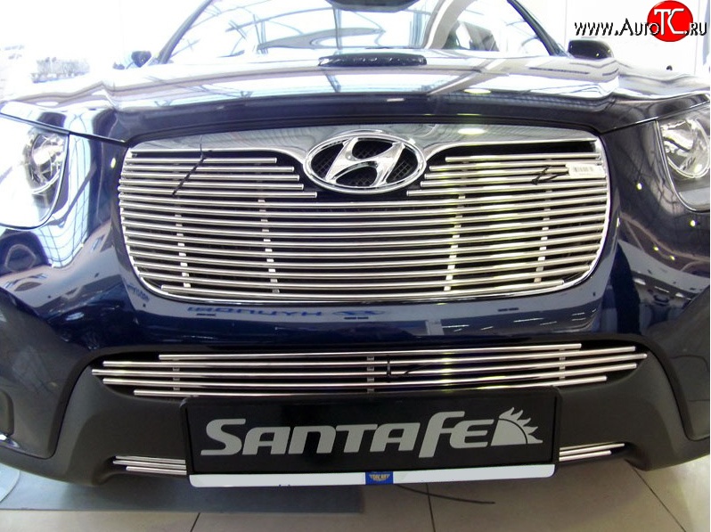 5 849 р. Декоративная вставка решетки радиатора Berkut (d10 мм) Hyundai Santa Fe CM рестайлинг (2009-2012)  с доставкой в г. Воронеж